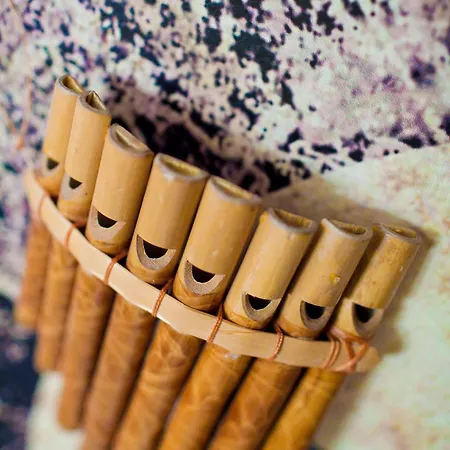 Apart-hotel Oberza 4*